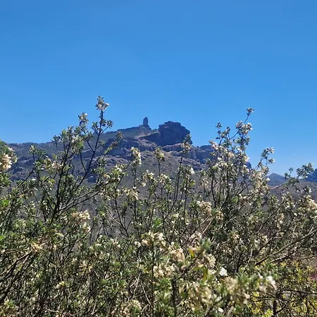 Mountain Hostel&house La Isa By Rose Tejeda (Gran Canaria)
